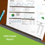 MCG 1,000 Assets Whitepaper