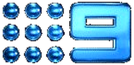 Channel 9 News logo - MCG Quantity Surveyors featured on Channel 9